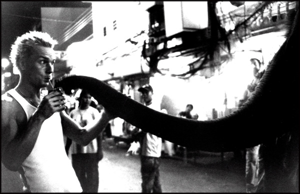 elephant thailand bangkok BW